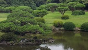 Shinjuku Gyoen