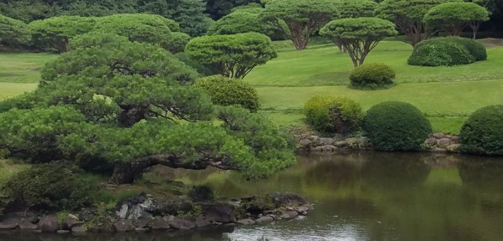 Shinjuku Gyoen